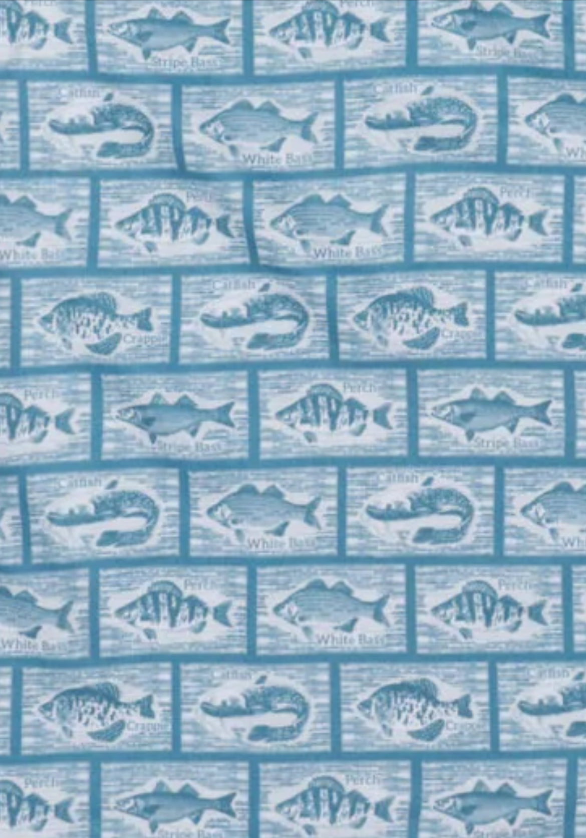 Youth Performance Button Up Shirt